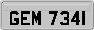 GEM7341