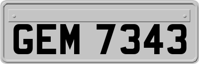 GEM7343
