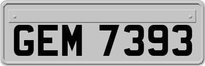 GEM7393