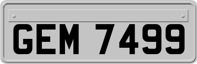 GEM7499