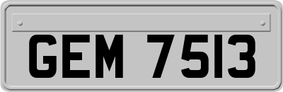 GEM7513