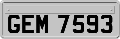 GEM7593