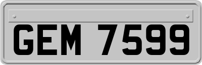 GEM7599