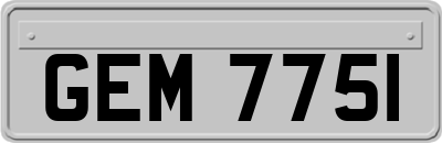 GEM7751