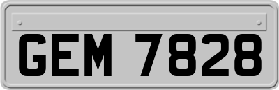 GEM7828