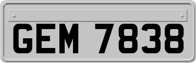 GEM7838
