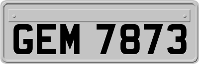 GEM7873