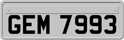 GEM7993