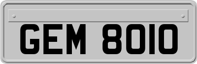 GEM8010