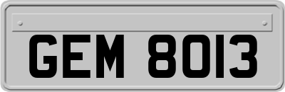 GEM8013