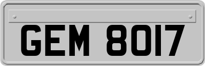 GEM8017