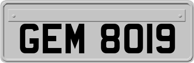 GEM8019