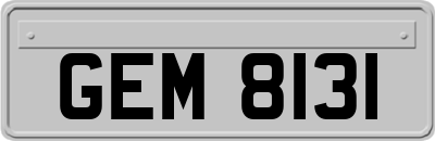 GEM8131