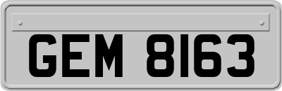 GEM8163