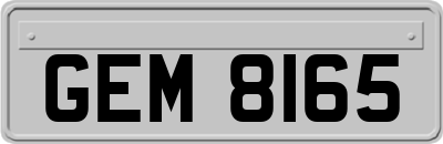 GEM8165