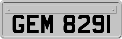 GEM8291