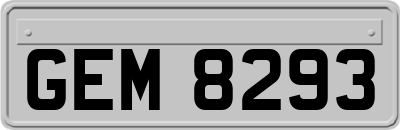 GEM8293