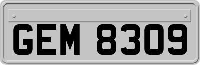 GEM8309