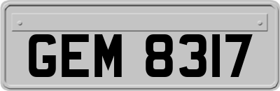 GEM8317