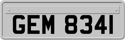 GEM8341