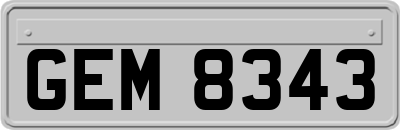 GEM8343
