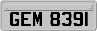 GEM8391
