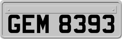 GEM8393