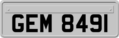 GEM8491