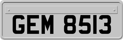 GEM8513