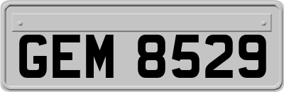 GEM8529