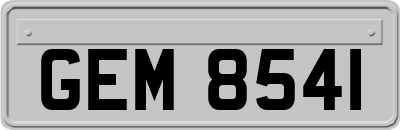 GEM8541