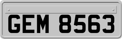 GEM8563