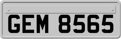 GEM8565
