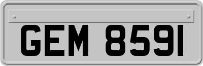 GEM8591