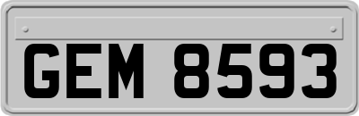 GEM8593