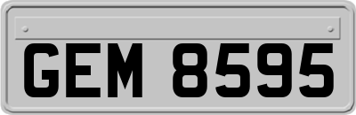 GEM8595