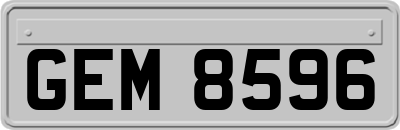 GEM8596