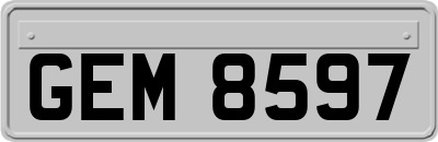 GEM8597