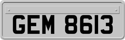 GEM8613