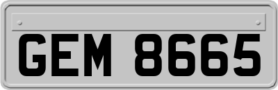 GEM8665