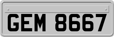 GEM8667