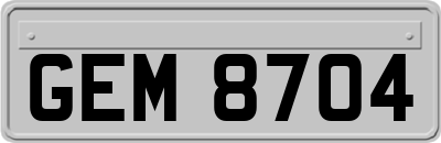 GEM8704