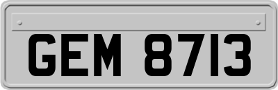 GEM8713