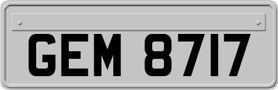 GEM8717