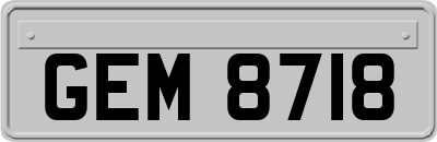 GEM8718