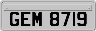 GEM8719