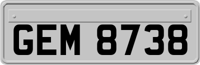 GEM8738