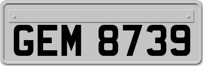 GEM8739