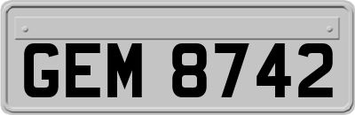 GEM8742