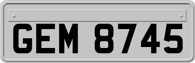 GEM8745